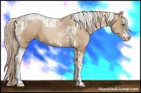 Horse Color:Chocolate Palomino Pearl Tobiano Frame  and Chocolate Palomino Pearl Splash Tobiano Frame 