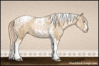 Horse Color:Chocolate Palomino Pearl Tobiano Frame  and Chocolate Palomino Pearl Dun Tobiano Frame 