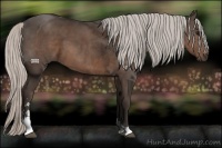 Horse Color:Silver Black Sabino 