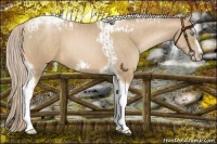 Horse Color:Chocolate Palomino Pearl Tobiano Frame  and Chocolate Palomino Pearl Splash Tobiano Frame 