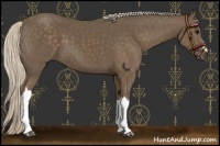 Horse Color:Silver Black 