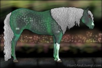 Horse Color:Silver Black Chinchilla 