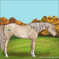 Horse Color:Chocolate Palomino Pearl Tobiano Frame and Chocolate Palomino Pearl Tobiano Frame