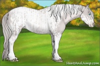 Horse Color:Platinum Chocolate Palomino Pearl Tobiano Frame  and Platinum Chocolate Palomino Pearl Tobiano Frame 