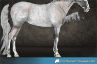 Horse Color:Platinum Chocolate Palomino Pearl Frame and Platinum White Spotted Silver Buckskin Roan Frame