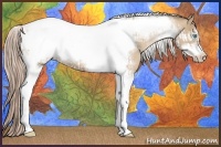 Horse Color:Chocolate Palomino Pearl Tobiano Frame and Chocolate Palomino Pearl Tobiano Frame