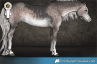 Horse Color:Platinum Buckskin and Platinum Chocolate Palomino