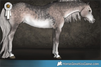 Horse Color:Platinum Buckskin  and Platinum Chocolate Palomino 