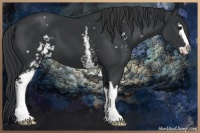 Horse Color:White Spotted Black Sabino