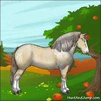 Horse Color:White Spotted Chocolate Palomino Dun