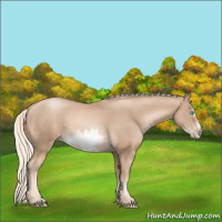 Horse Color:Chocolate Palomino Pearl Sabino Frame  and Chocolate Palomino Pearl Sabino Frame 