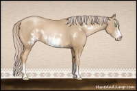 Horse Color:Chocolate Palomino Pearl Sabino Frame  and Chocolate Palomino Pearl Sabino Splash Frame 