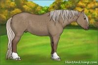 Horse Color:Silver Grullo