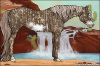 Horse Color:Chocolate Palomino Pearl Sabino Frame  and Chocolate Palomino Sabino Frame 