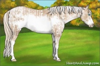 Horse Color:Chocolate Palomino Pearl Sabino Frame  and Chocolate Palomino Pearl Sabino Frame 
