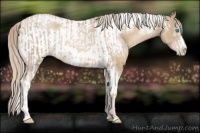 Horse Color:Chocolate Palomino Pearl Sabino Frame  and Chocolate Palomino Pearl Sabino Tobiano Frame 