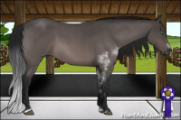Horse Color:Gray Platinum Buckskin Roan Sabino