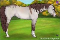 Horse Color:Platinum Chocolate Bay Dun Sabino 
