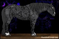 Horse Color:Blue Roan Sabino 