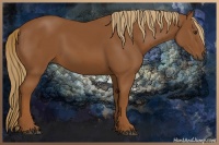 Horse Color:Chestnut Sabino