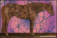 Horse Color:Chestnut Sabino 