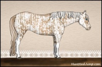 Horse Color:Liver Chestnut Pearl Tobiano Frame  and White Spotted Chocolate Palomino Pearl Sabino Frame 