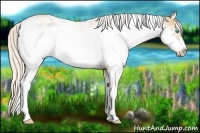 Horse Color:Chocolate Palomino Pearl Sabino Frame  and Palomino Pearl Sabino Frame