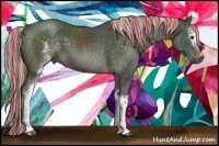 Horse Color:Painted White Spotted Chocolate Palomino