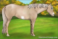 Horse Color:Chocolate Palomino Pearl Sabino Frame  and Chocolate Palomino Pearl Sabino Frame 