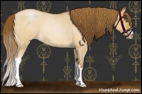 Horse Color:Brown Roan Pearl Dun Brindle