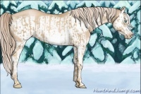 Horse Color:Chocolate Palomino Pearl Sabino Frame  and Chocolate Palomino Pearl Sabino Splash Frame 