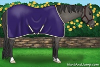 Horse Color:Grullo Varnish 