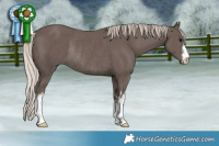 Horse Color:White Spotted Silver Black Rabicano 