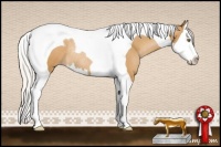 Horse Color:Silver Brown Pearl Splash Tobiano Rabicano