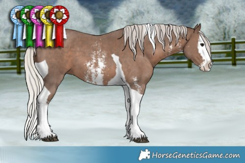 Horse Color:Silver Black Sabino Splash Tobiano 