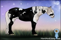 Horse Color:Silver Black Ice Pearl Sabino Tobiano Frame Rabicano 