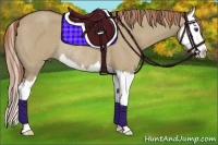 Horse Color:Liver Red Dun Sabino Splash Rabicano