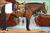 Horse Color:Brown Sabino Snowcap 