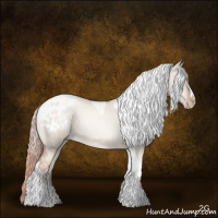 Horse Color:Gray Gold Cream Champagne Pearl Dun Tobiano Blanket Rabicano 