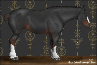 Horse Color:Gray Liver Chestnut 
