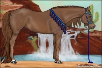 Horse Color:Chestnut Sabino 