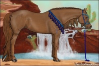 Horse Color:Chestnut Sabino 