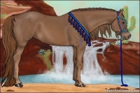 Horse Color:Chestnut Sabino