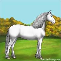 Horse Color:Blue Roan Splash Tobiano Rabicano 