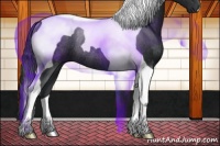 Horse Color:Black Tobiano Rabicano