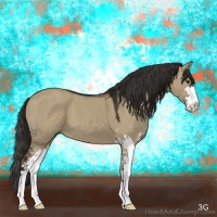 Horse Color:Liver Red Dun Sabino 