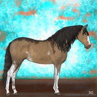 Horse Color:White Spotted Liver Red Dun 