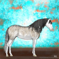 Horse Color:White Spotted Liver Red Dun Sabino Splash Rabicano Brindle
