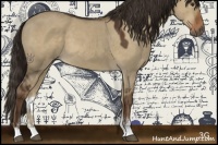 Horse Color:Liver Red Dun Sabino 