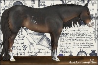 Horse Color:Liver Chestnut Sabino 